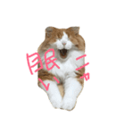 りゅうたろうくんの日常（個別スタンプ：5）