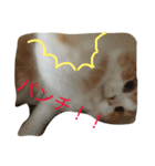 りゅうたろうくんの日常（個別スタンプ：6）