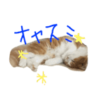 りゅうたろうくんの日常（個別スタンプ：8）