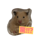 cute mouse by Peipei（個別スタンプ：3）