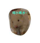 cute mouse by Peipei（個別スタンプ：5）