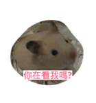 cute mouse by Peipei（個別スタンプ：8）