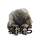Cho＆mo（個別スタンプ：4）