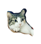 Dude it's me.（個別スタンプ：1）
