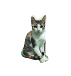 Dude it's me.（個別スタンプ：2）