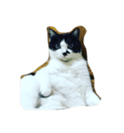 Dude it's me.（個別スタンプ：3）