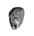 Dude it's me.（個別スタンプ：8）