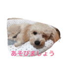 くそかわ（個別スタンプ：1）