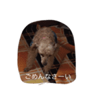 くそかわ（個別スタンプ：3）