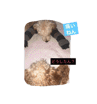 くそかわ（個別スタンプ：4）