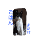 くそかわ（個別スタンプ：7）