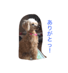 くそかわ（個別スタンプ：12）
