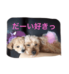 くそかわ（個別スタンプ：18）
