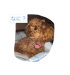 くそかわ（個別スタンプ：21）