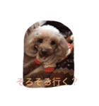 くそかわ（個別スタンプ：22）