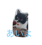 くそかわ（個別スタンプ：25）