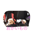 くそかわ（個別スタンプ：29）