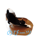 くそかわ（個別スタンプ：30）