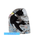 くそかわ（個別スタンプ：32）