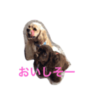 トフィとチョコ（個別スタンプ：3）