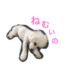 きなこな毎日（個別スタンプ：2）