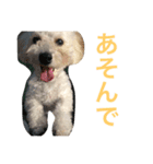 きなこな毎日（個別スタンプ：5）