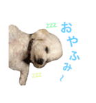 きなこな毎日（個別スタンプ：7）