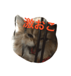 ぼののほのぼのすたんぷ（個別スタンプ：1）