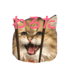 ぼののほのぼのすたんぷ（個別スタンプ：2）