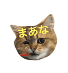 ぼののほのぼのすたんぷ（個別スタンプ：4）