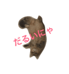 ぼののほのぼのすたんぷ（個別スタンプ：5）