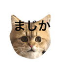 ぼののほのぼのすたんぷ（個別スタンプ：6）