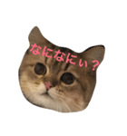 ぼののほのぼのすたんぷ（個別スタンプ：7）