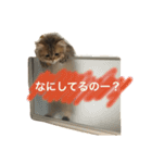 ぼののほのぼのすたんぷ（個別スタンプ：10）