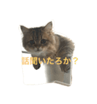 ぼののほのぼのすたんぷ（個別スタンプ：13）