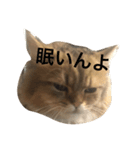 ぼののほのぼのすたんぷ（個別スタンプ：16）