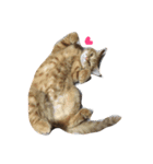 にゃんころたち（個別スタンプ：14）