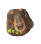 ソアラちゃん（個別スタンプ：4）