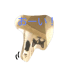 まーにゃんに任せろ（個別スタンプ：2）