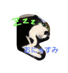 まーにゃんに任せろ（個別スタンプ：3）