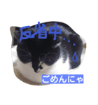 まーにゃんに任せろ（個別スタンプ：4）