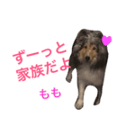 ももご（個別スタンプ：1）