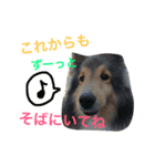 ももご（個別スタンプ：3）