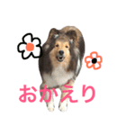 ももご（個別スタンプ：5）
