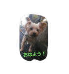 momo  vol.1（個別スタンプ：3）