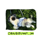 cawaii Dog（個別スタンプ：4）