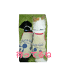 cawaii Dog（個別スタンプ：7）