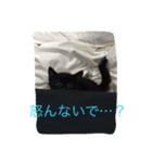 ペット達三年二組（個別スタンプ：5）