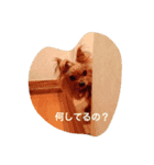 petit 2（個別スタンプ：6）