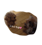 petit 2（個別スタンプ：7）